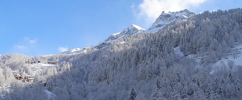 Hotel Dama Bianca Valtournenche Zewnętrze zdjęcie
